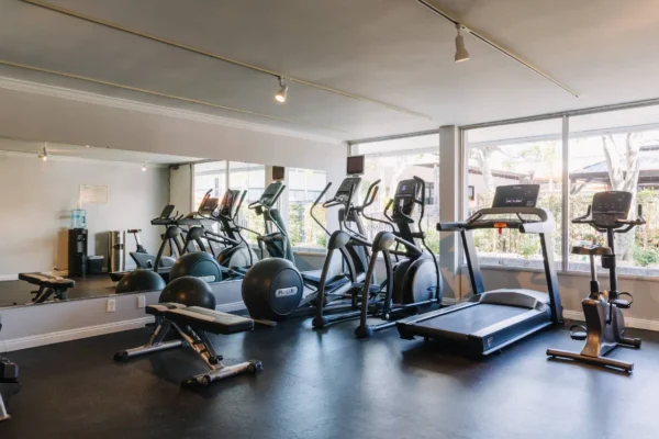 Fitness center at Palm Garden Hotel with treadmills, ellipticals, bikes and free weights facing large windows