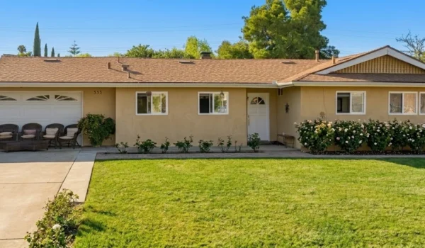 Wide-angle, naturally lit daytime exterior photograph of a long, single-story ranch-style home with a tan stucco facade and a brown shingle roof, centered behind a large, manicured green lawn. The composition places a concrete driveway with nested wicker chairs and a patio table on the far left, featuring the black numbers '555' on the garage door. The central focus is a white front door under a small gable, flanked by multiple windows. To the right, a long bed of white rose bushes lines the foundation, with a small star decoration on the wall. The texture of the stucco, roofing, and lawn is detailed under a clear blue sky, with mature pine and other trees forming a lush backdrop.