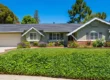 A brightly lit, horizontal landscape photograph under a brilliant, cloudless deep blue sky. Strong, direct sunlight casts distinct, high-contrast shadows. The composition is centered on a meticulously manicured single-story ranch-style house with a grey-shingled roof and sage-green stucco walls over a red brick wainscoting. The perspective is from the sidewalk, which, along with a concrete driveway, leads in from the left. A dense, dense bank of manicured dark green ivy creates a lush, horizontal textured foreground barrier below a patch of green lawn. Mature, tall trees frame the structure against the sky. The house features patterns of white plantation-style shutters, decorative white gable trim, and a cream-colored two-car garage door. Vibrant garden beds with lavender and assorted colorful flowering shrubs (hydrangeas, roses) line the base. Everything is sharp and in deep focus. No legible text is visible on the structure.