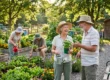 A warm, golden light filters through a canopy of trees, bathing a vibrant community allotment in a soft, inviting glow. The composition focuses on a laughing older couple standing on a gravel path, framed by lush raised garden beds overflowing with leafy vegetables and flowers. The woman, in a straw hat, holds a small potted basil and a silver watering can, while the man, in a canvas hat, holds a hand trowel. Further back, two other seniors are detailed, tending to different parts of the garden. Rustic elements like a wooden shed and diverse plant types are evident. Tiny, unreadable text is visible on some plant markers. On a wooden bench to the right, a pair of gloves and a water bottle rest.